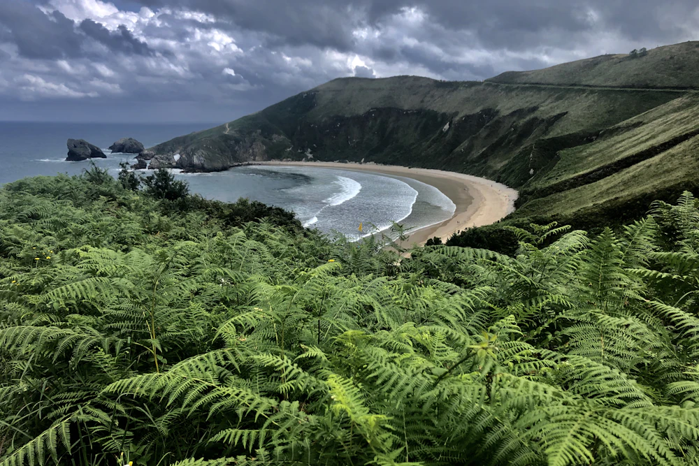 Costa de Asturias con prados verdes junto al mar